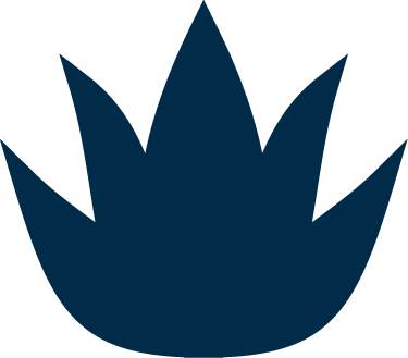 Agave