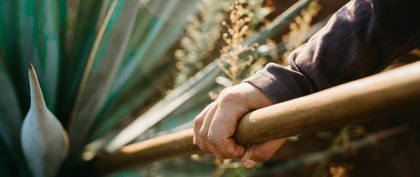 From Soil to Soul
